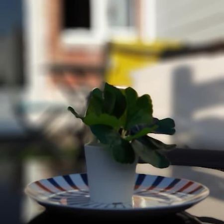 Le Chat Bleu - 26M2- Terrasse Sur Les Toits - Wi-Fi Amiens Extérieur photo