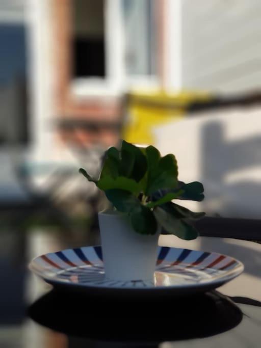 Le Chat Bleu - 26M2- Terrasse Sur Les Toits - Wi-Fi Amiens Extérieur photo